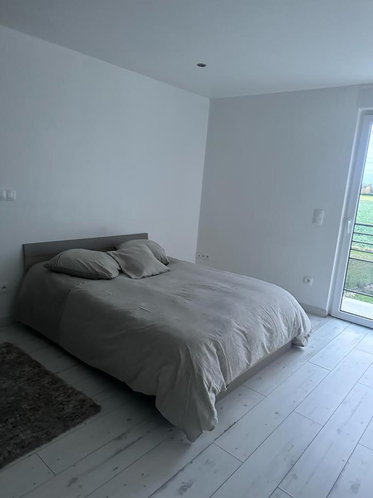 Residence Foch Lingolsheim Kültér fotó